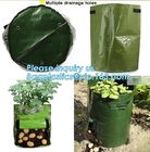 정원 plant/ 파타토 / 야채는 자라고 bags,2gallon 식물 꽃이 봉지 식물 감자 오우를 자라기 때문에 핫스아레스 구성 화분이 봉지를 성장시킵니다