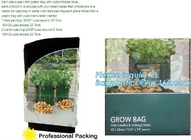정원 plant/ 파타토 / 야채는 자라고 bags,2gallon 식물 꽃이 봉지 식물 감자 오우를 자라기 때문에 핫스아레스 구성 화분이 봉지를 성장시킵니다