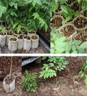 원예학 미생물에 의해 분해된 정원 가방 수경법 나라 경작자 보육 학교 포트