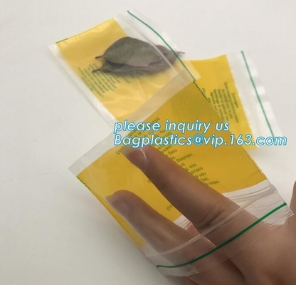 공장 사용자 지정 색상 작은 빨간색 / 분홍색 / 녹색 / 노랑 /는 장식, 백플라스틱스, 바게아스를 위한 재밀봉할 수 있는 집록크 가방을 청색화합니다
