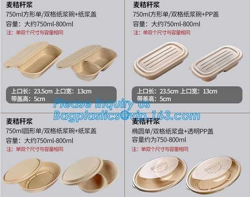 li와 미생물에 의해 분해된 전자레인지 대나무 사탕수수 바가스 식료품 용기, Eco 우호적 버릴 수 있는 사탕수수 식료품 용기