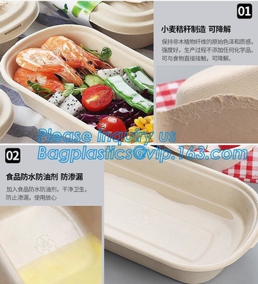 li와 미생물에 의해 분해된 전자레인지 대나무 사탕수수 바가스 식료품 용기, Eco 우호적 버릴 수 있는 사탕수수 식료품 용기