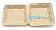 상자 750 밀리람베르트 베이스지를 서빙하는 칸막이 힌지 용기 사탕수수 베이스지 치수 음식은 용기 백플라스틱스 팩아를 꺼냅니다