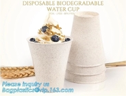 컵을 마시는 맞춘 버릴 수 있는 명백한 냉각 음료 주스 컵 100% 환경 친화적 미생물에 의해 분해된 퇴비성 PLA 플라스틱 커피