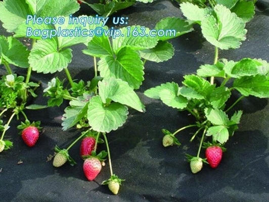 반대 UV 양산 농업 부직물, pl에 대한 농업 피피 스펀본드 부직포 직물 /agriculture 접지 커버