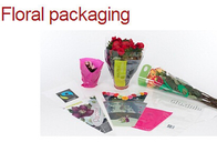꽃 패키징, 플라워 백, 꽃 소매, 플렉시 병, 물병, 플라스틱 꽃병, 덩굴 토마토 봉지 토마토 봉지가 허용합니다