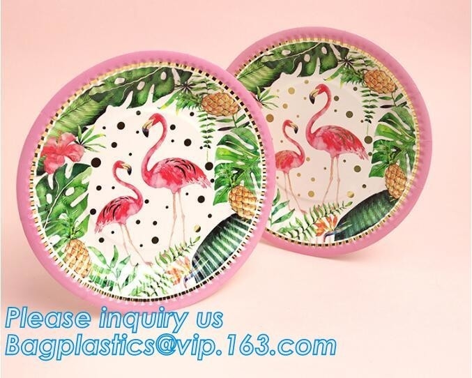 6 인치 관습은 생일 축하 일회용 종이 Plates,100% 미생물에 의해 분해된 퇴비성 일회용 종이 플레이트 팩을 출력했습니다