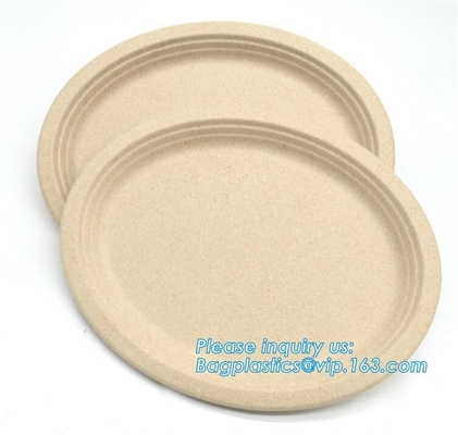Biodegradable plate food grade green sugarcane bagasse plate,10" sugarcane ecofriendly disposable oval plate bagease pac